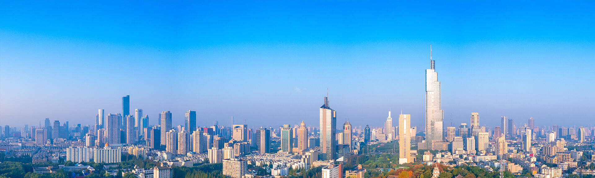 搜索結(jié)果頁